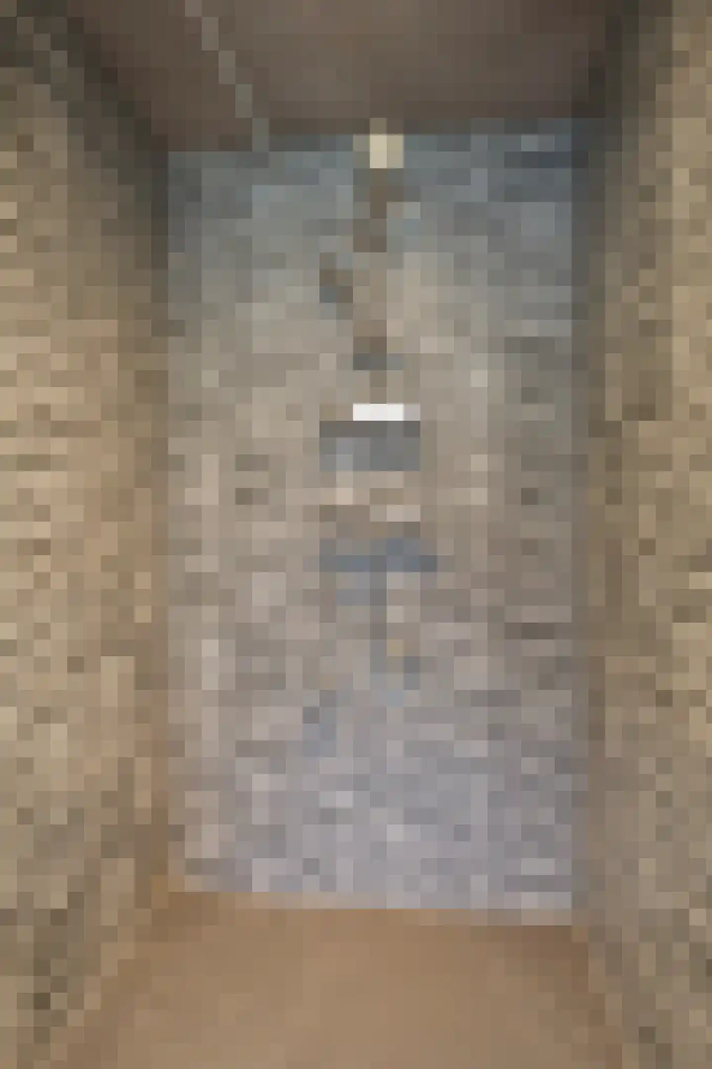 Munnikhofsestraat 11 Gendt thumbnail 42