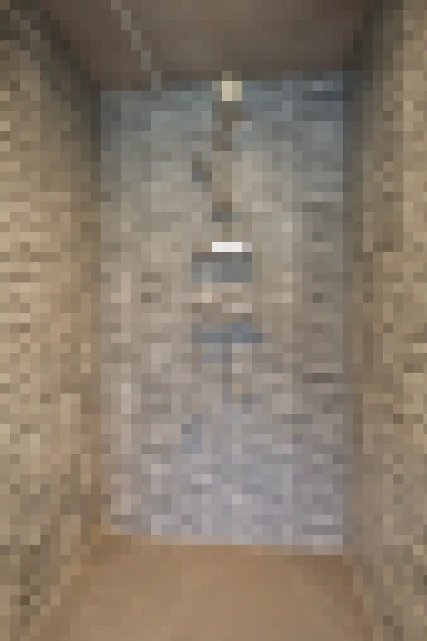 Munnikhofsestraat 11 Gendt thumbnail 43