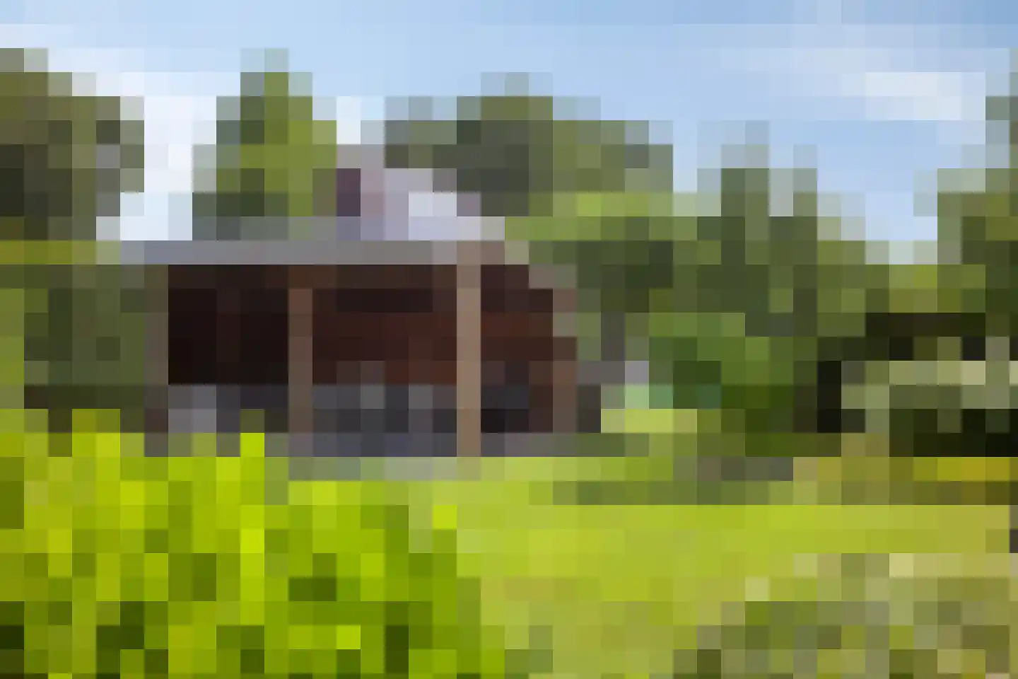 Munnikhofsestraat 11 Gendt thumbnail 58