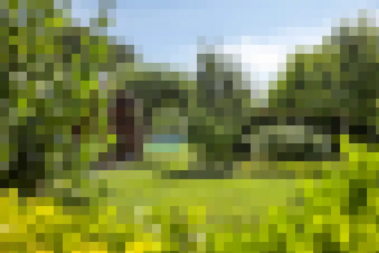 Munnikhofsestraat 11 Gendt thumbnail 59