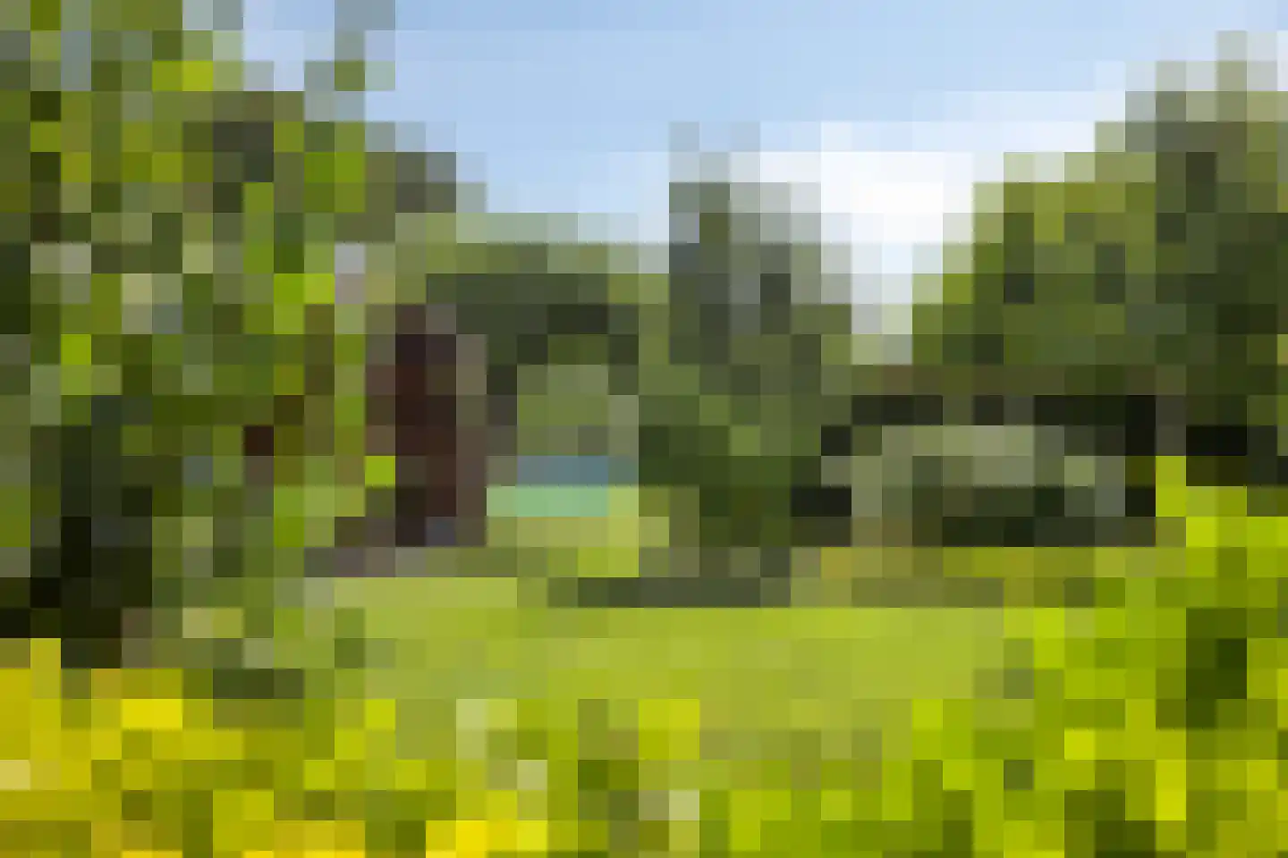 Munnikhofsestraat 11 Gendt thumbnail 60
