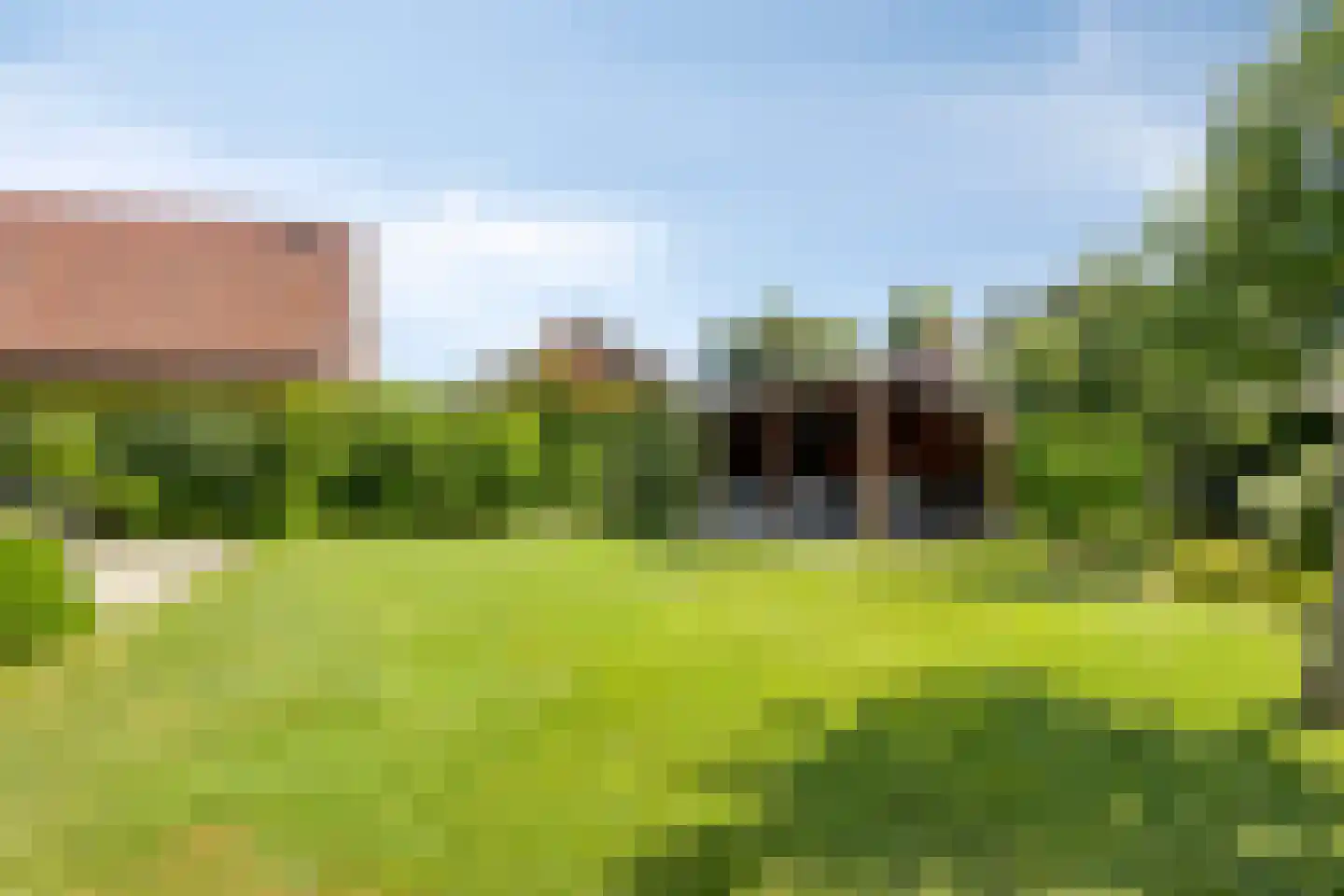 Munnikhofsestraat 11 Gendt thumbnail 62