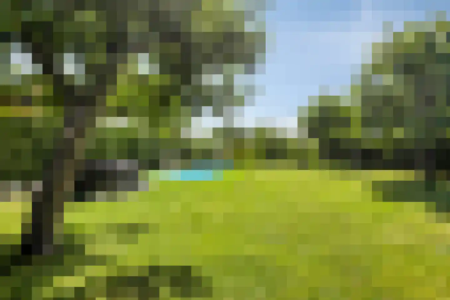 Munnikhofsestraat 11 Gendt thumbnail 64