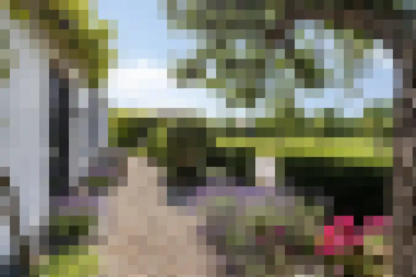 Munnikhofsestraat 11 Gendt thumbnail 69
