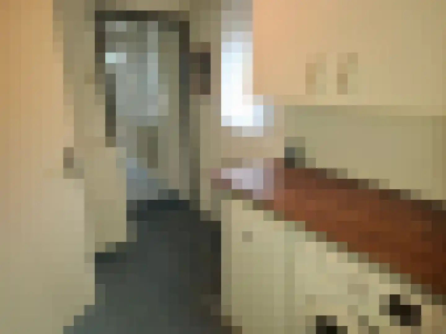Munnikhofsestraat 15 Deest thumbnail 14