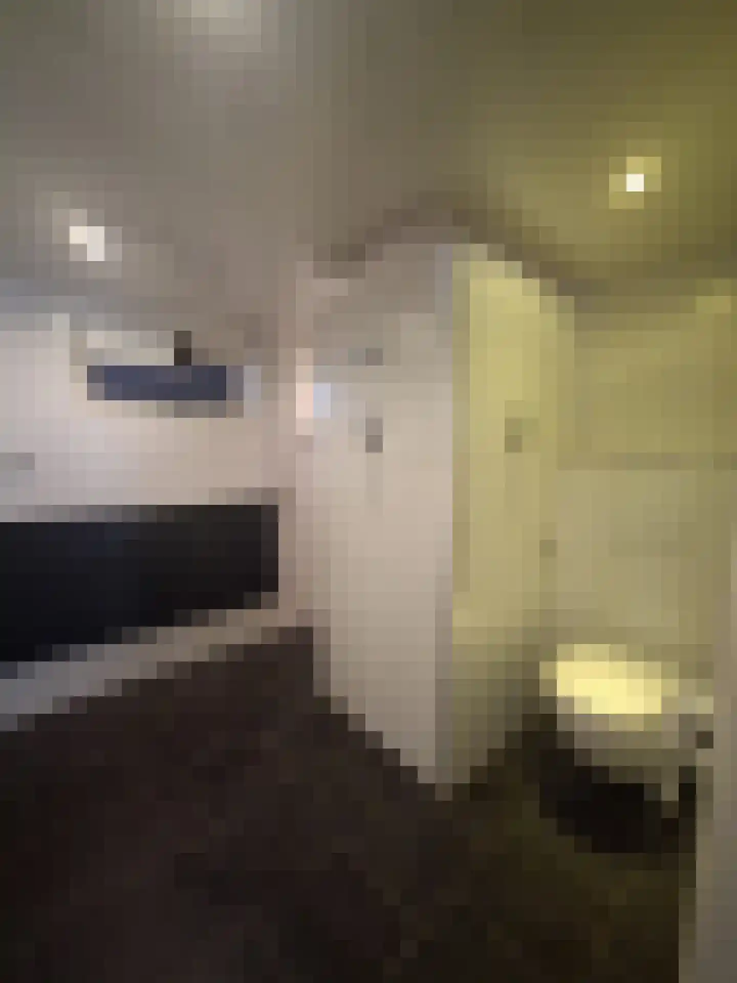 Munnikhofsestraat 15 Deest thumbnail 17