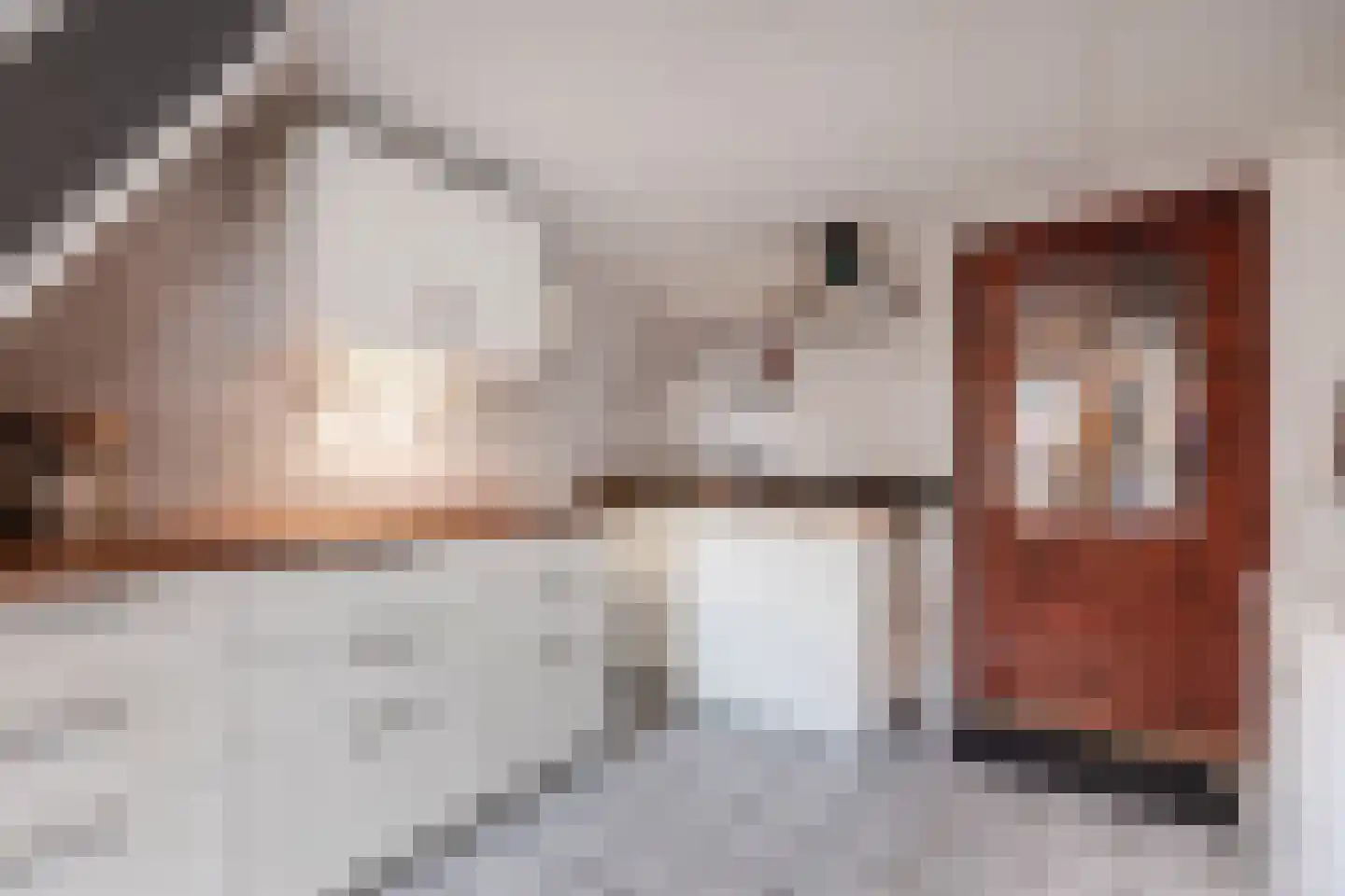 Munnikhofsestraat 15 Deest thumbnail 18