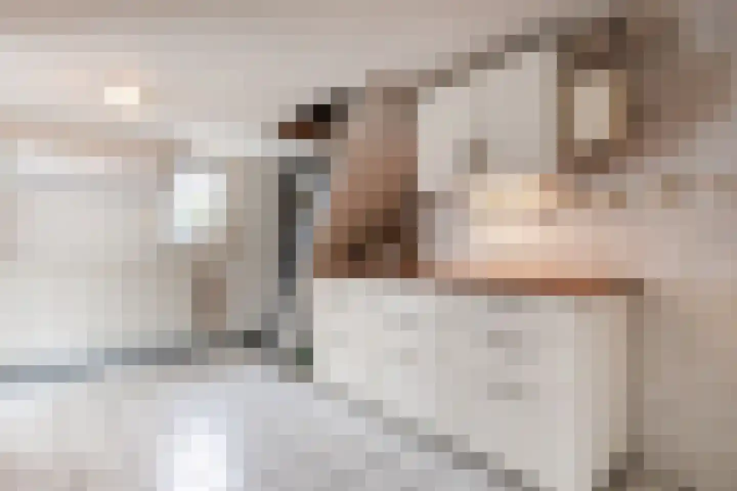 Munnikhofsestraat 15 Deest thumbnail 19