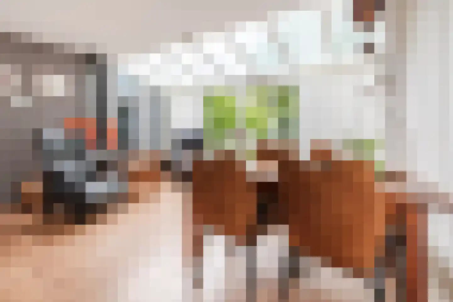 Munnikhofsestraat 15 Deest thumbnail 22