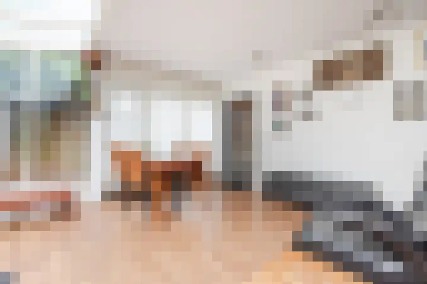 Munnikhofsestraat 15 Deest thumbnail 24