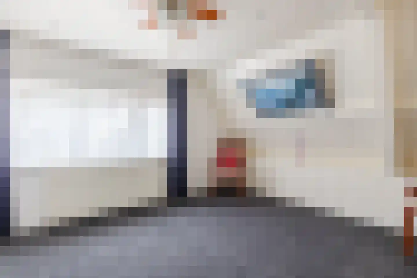 Munnikhofsestraat 15 Deest thumbnail 30