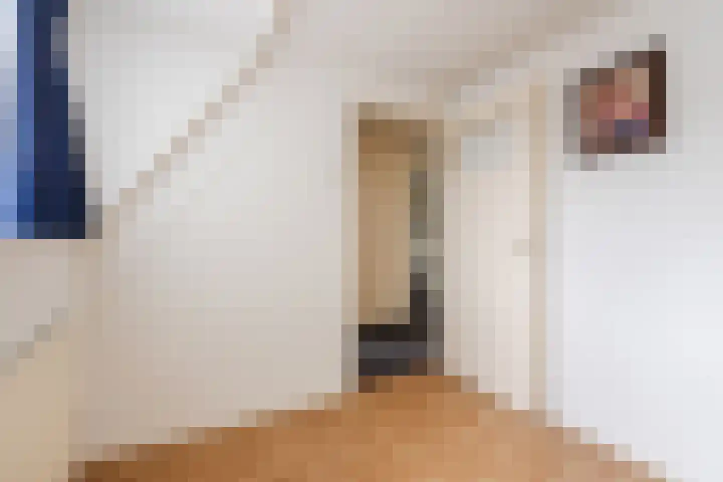 Munnikhofsestraat 15 Deest thumbnail 34