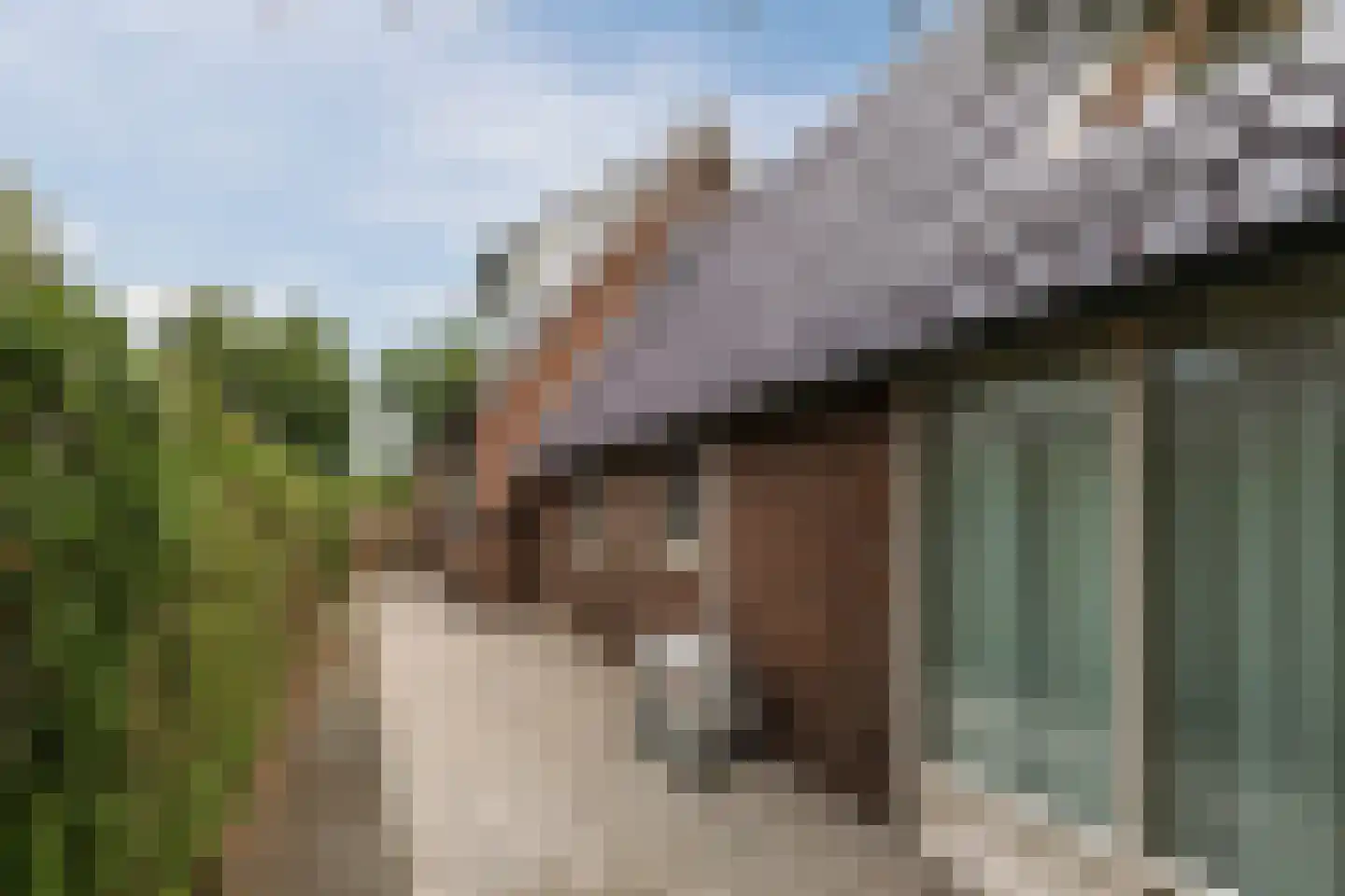 Munnikhofsestraat 15 Deest thumbnail 38