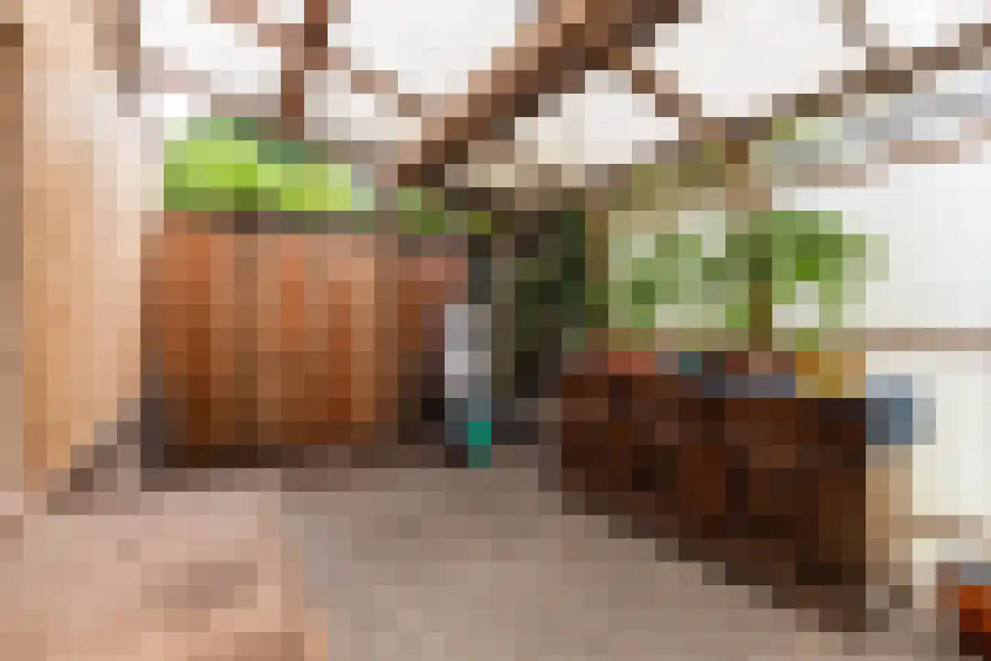 Munnikhofsestraat 15 Deest thumbnail 39