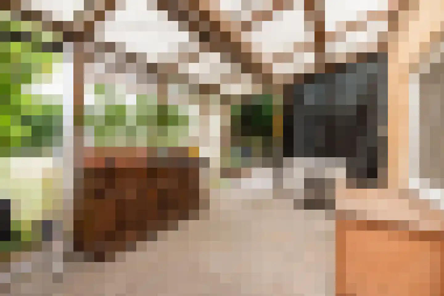 Munnikhofsestraat 15 Deest thumbnail 40
