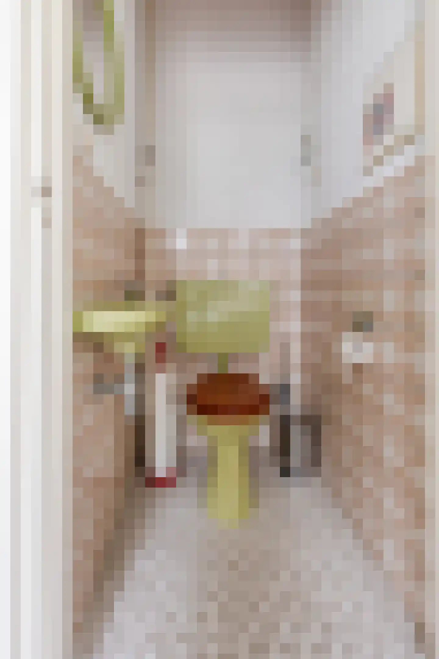 Munnikhofsestraat 15 Deest thumbnail 8