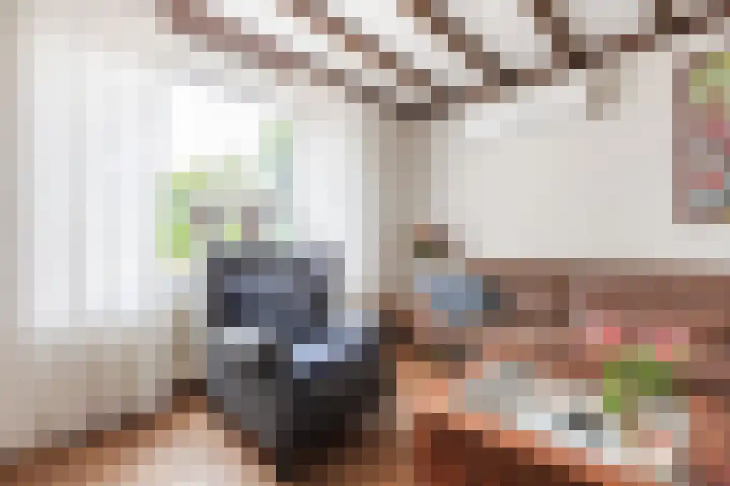 Munnikhofsestraat 15 Deest thumbnail 9