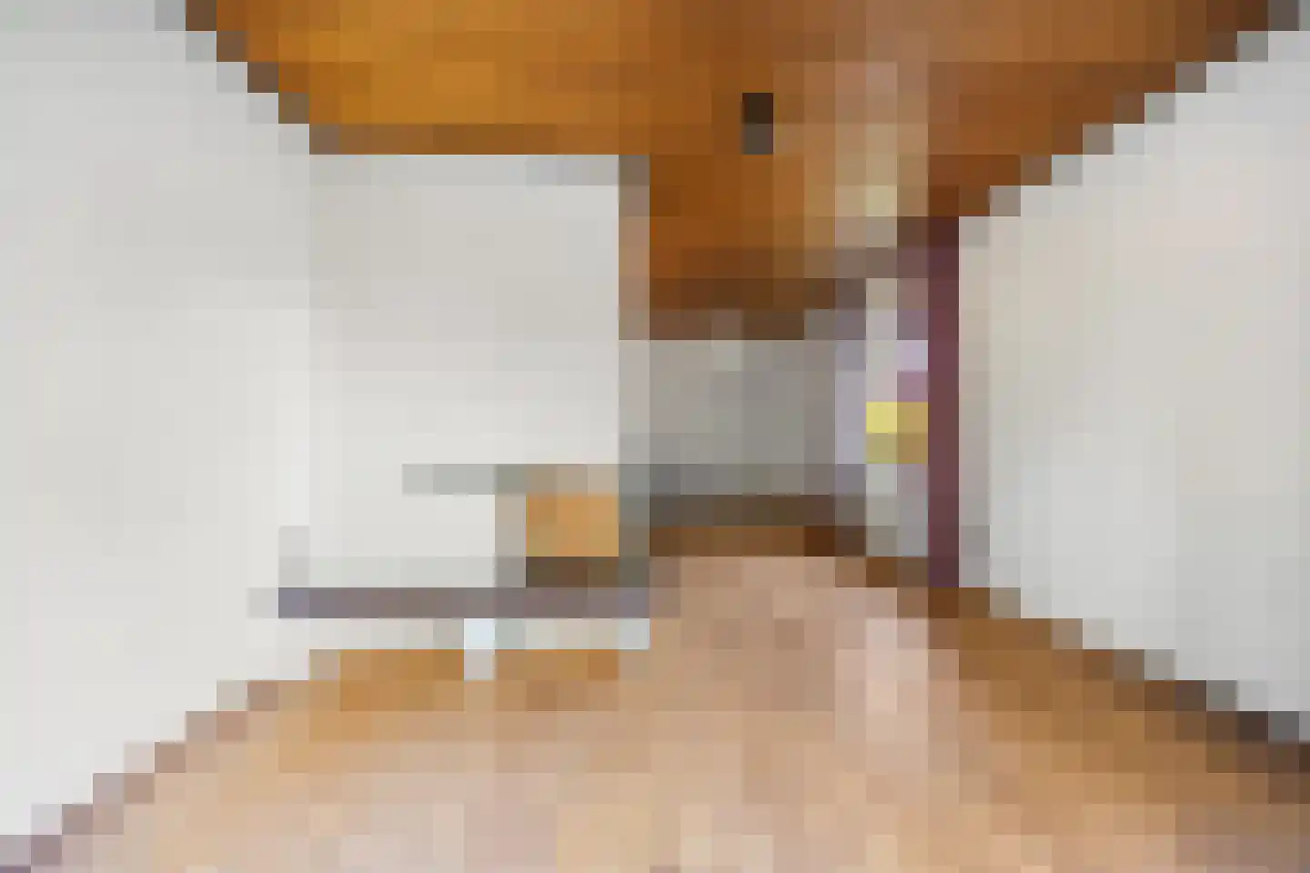 Munnikhofsestraat 31 Deest thumbnail 12
