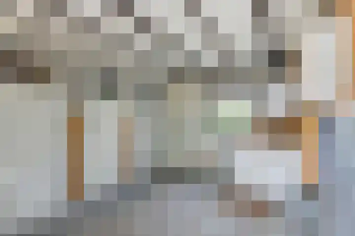 Munnikhofsestraat 31 Deest thumbnail 13