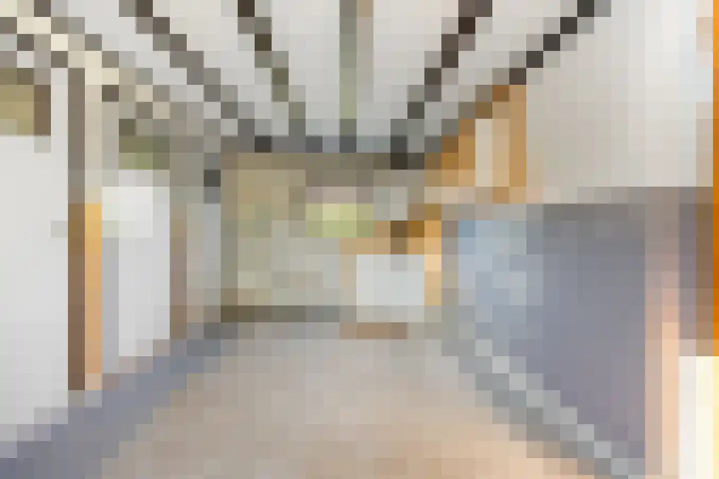 Munnikhofsestraat 31 Deest thumbnail 13
