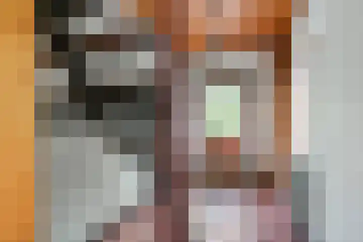 Munnikhofsestraat 31 Deest thumbnail 18