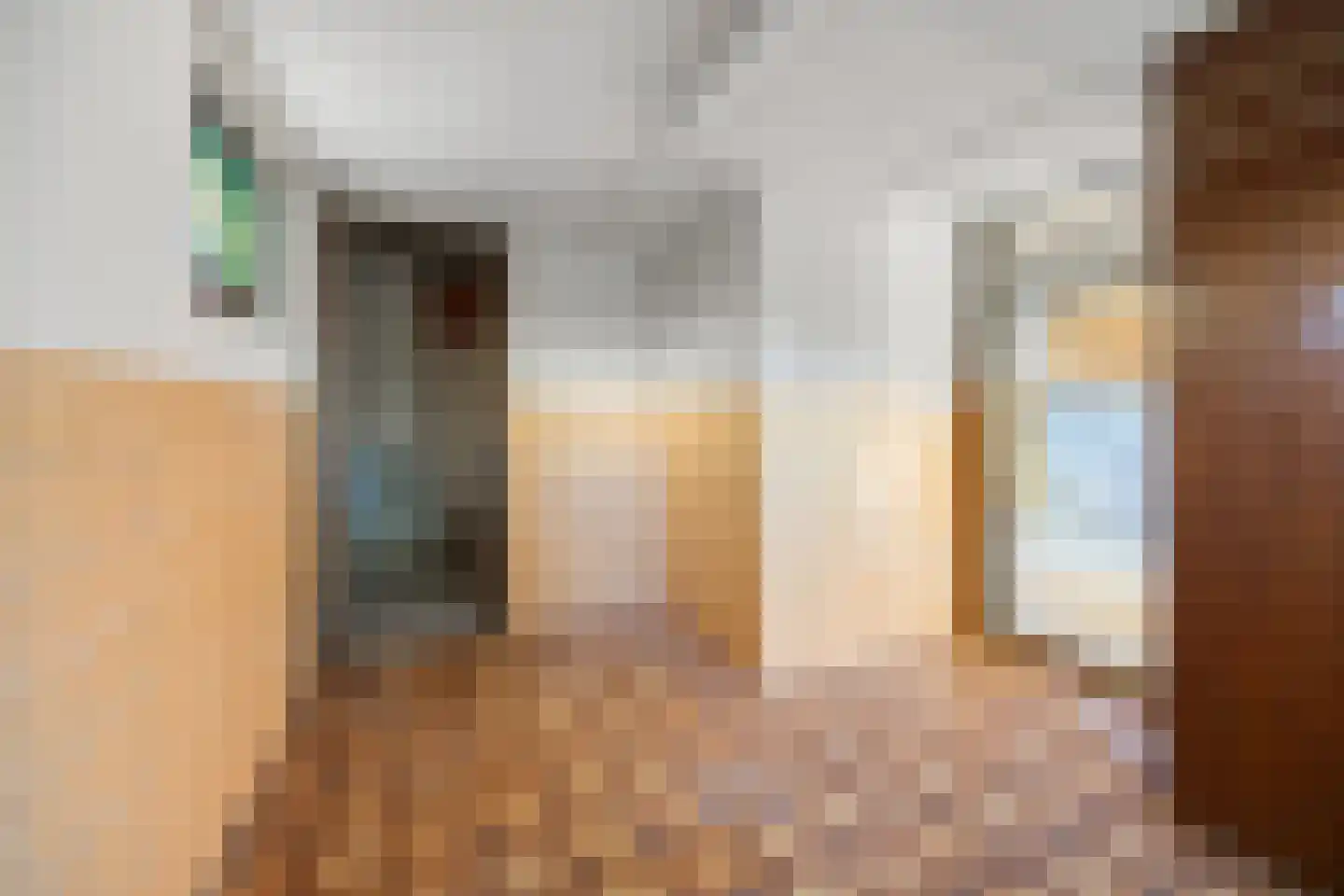 Munnikhofsestraat 31 Deest thumbnail 19