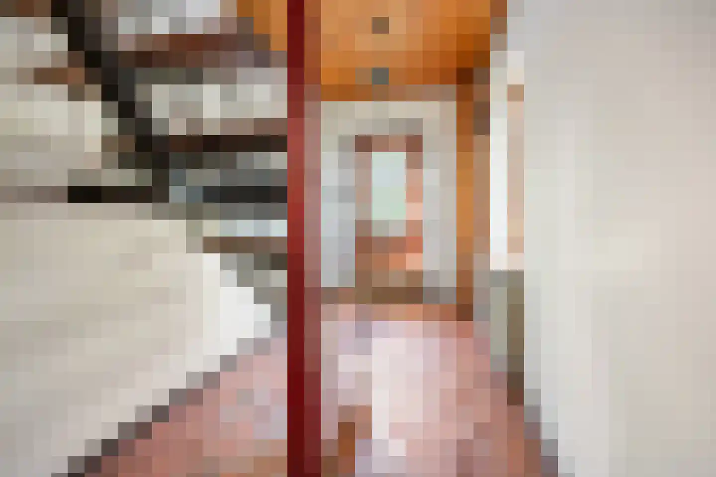Munnikhofsestraat 31 Deest thumbnail 22