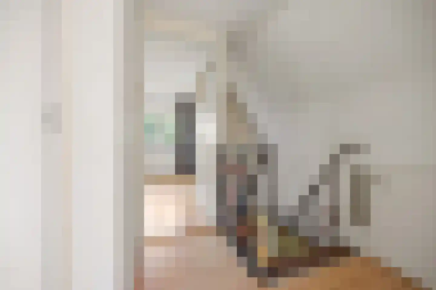 Munnikhofsestraat 31 Deest thumbnail 24