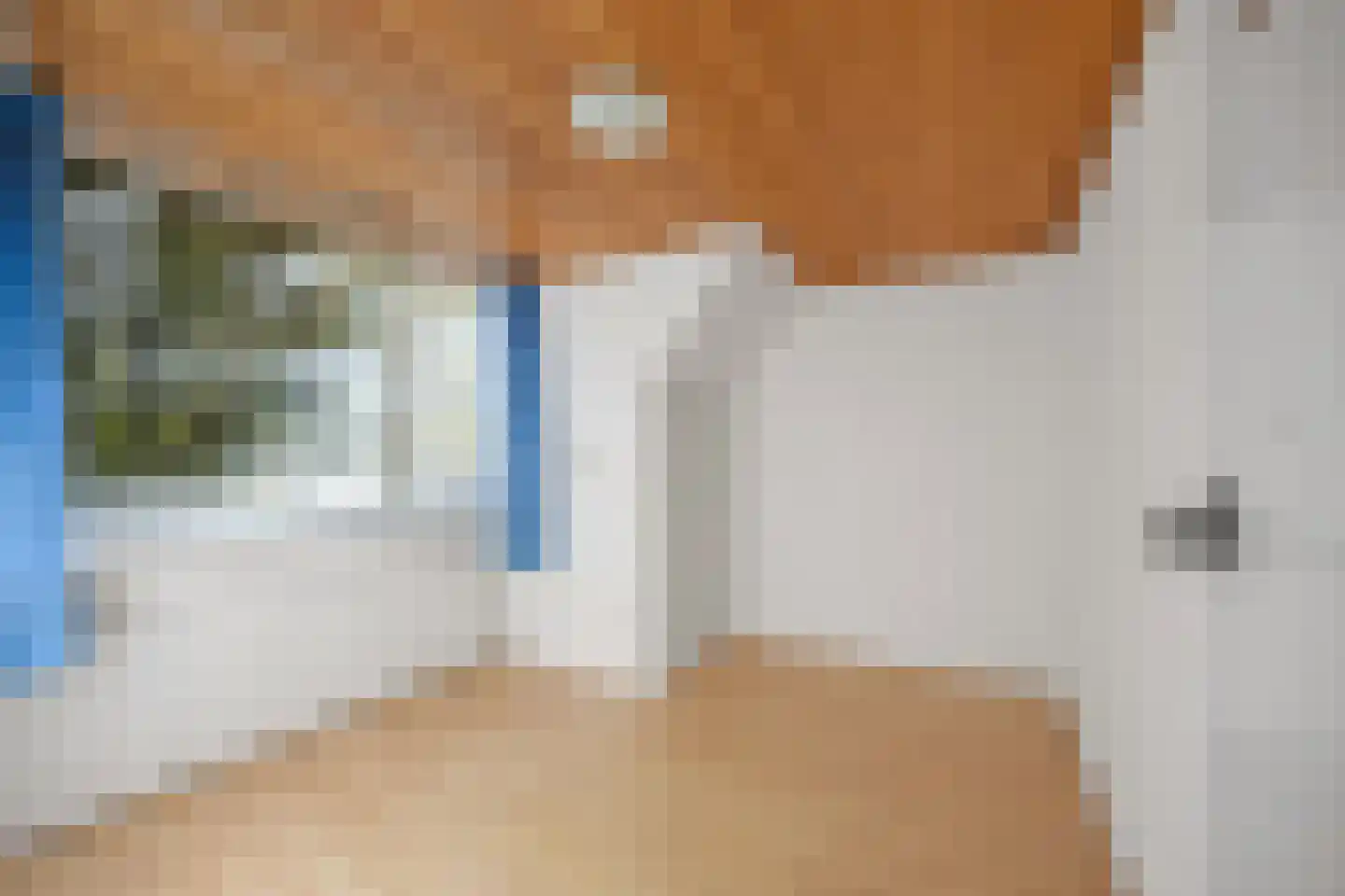 Munnikhofsestraat 31 Deest thumbnail 30