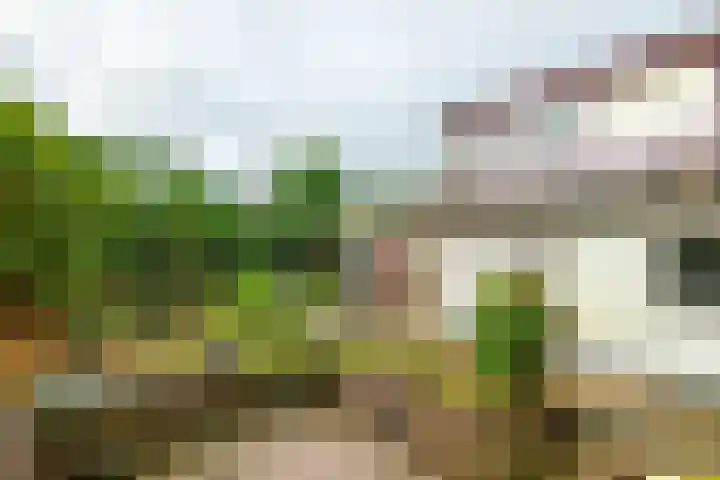 Munnikhofsestraat 31 Deest thumbnail 30