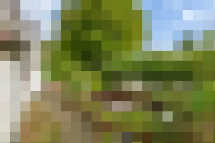 Munnikhofsestraat 31 Deest thumbnail 31