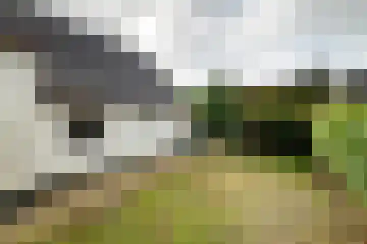 Munnikhofsestraat 31 Deest thumbnail 32