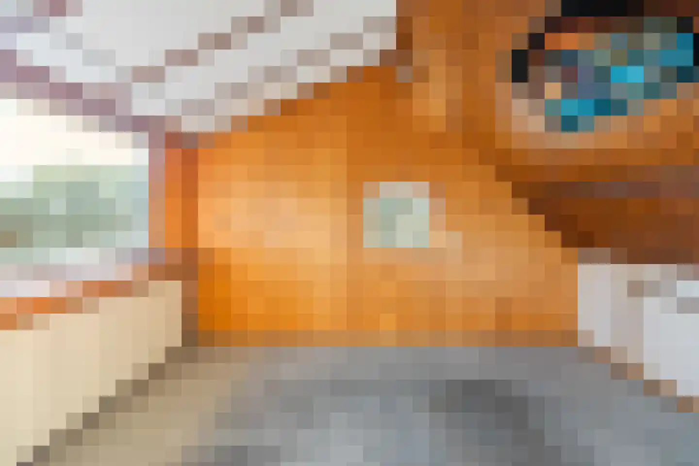 Munnikhofsestraat 31 Deest thumbnail 32