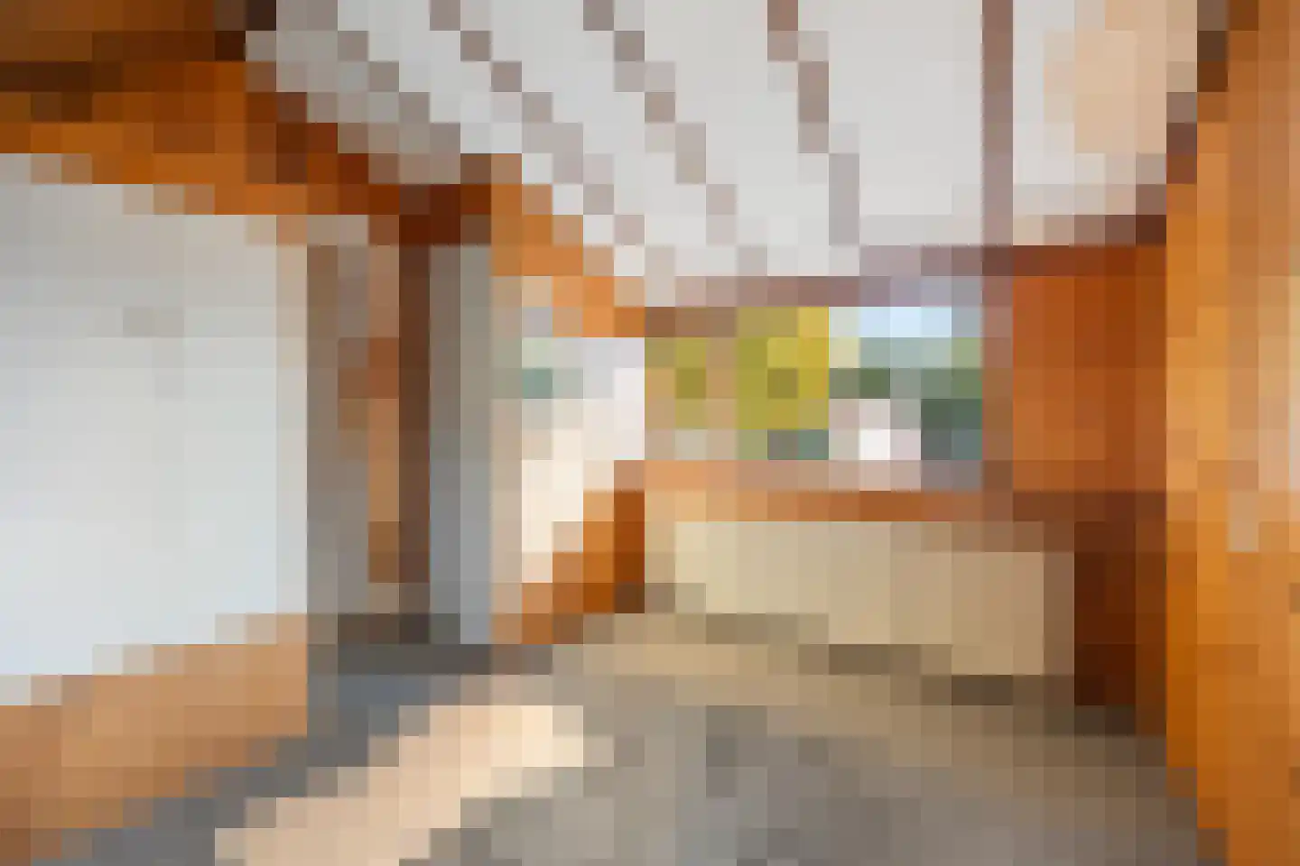 Munnikhofsestraat 31 Deest thumbnail 33