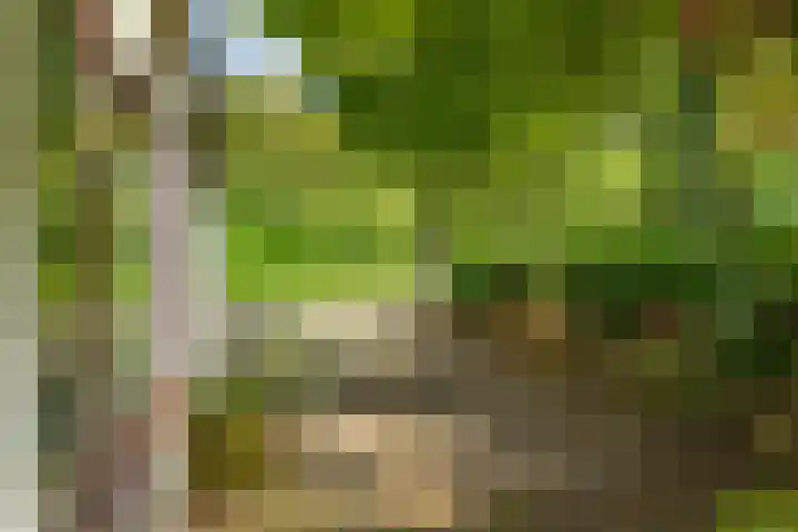 Munnikhofsestraat 31 Deest thumbnail 34
