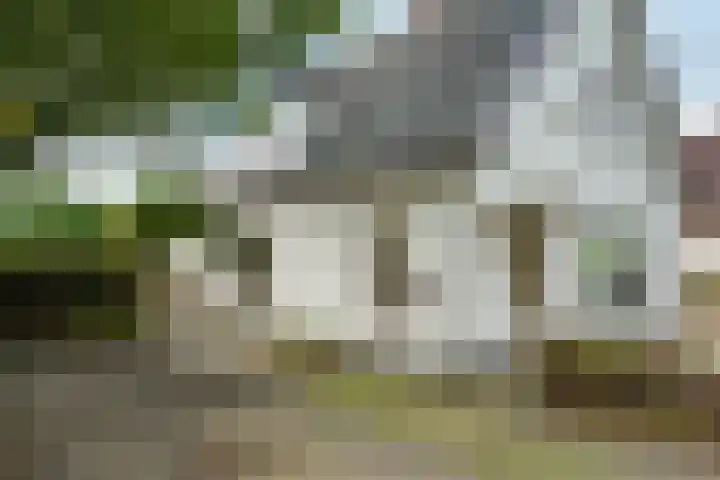 Munnikhofsestraat 31 Deest thumbnail 35