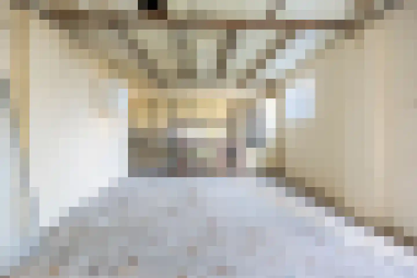 Munnikhofsestraat 31 Deest thumbnail 41