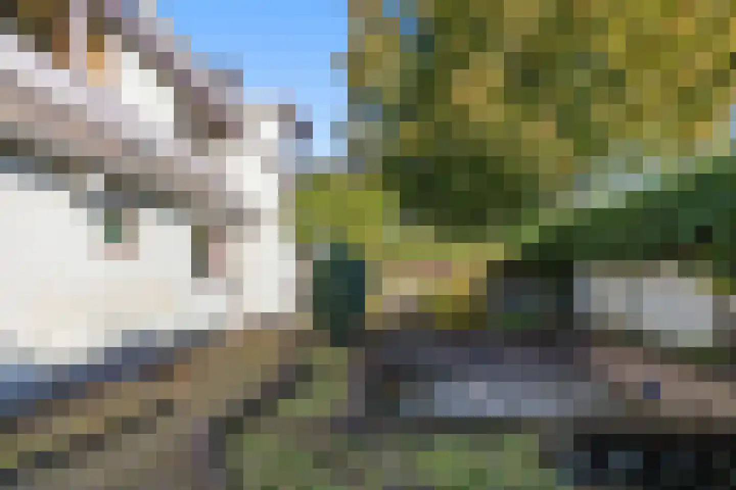 Munnikhofsestraat 31 Deest thumbnail 47
