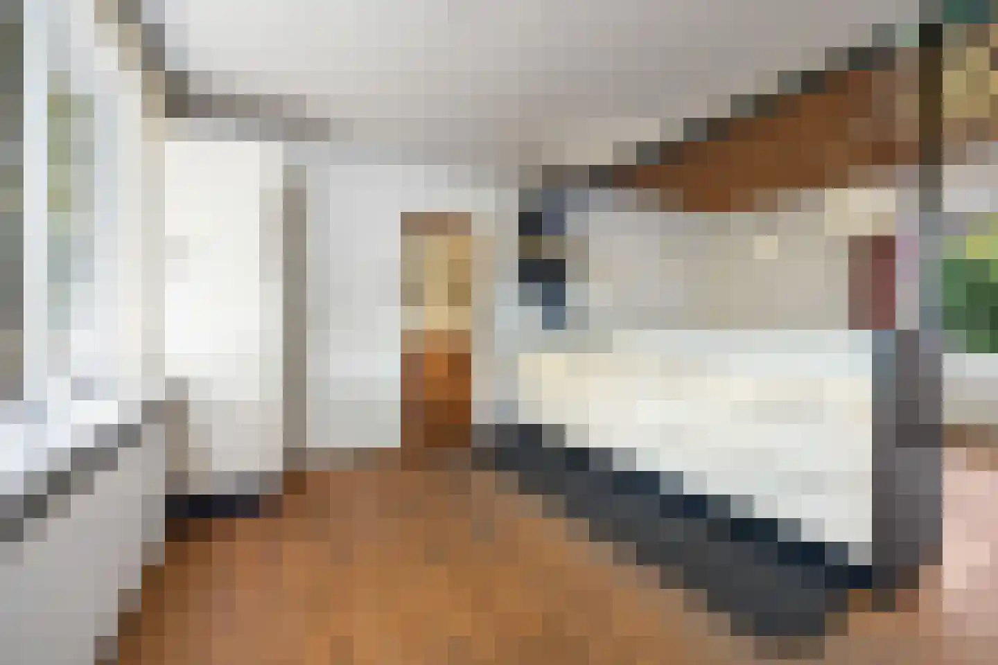 Munnikhofsestraat 31 Deest thumbnail 6