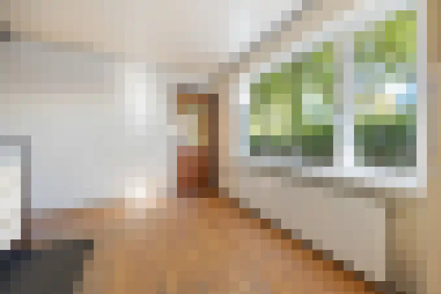 Munnikhofsestraat 31 Deest thumbnail 7