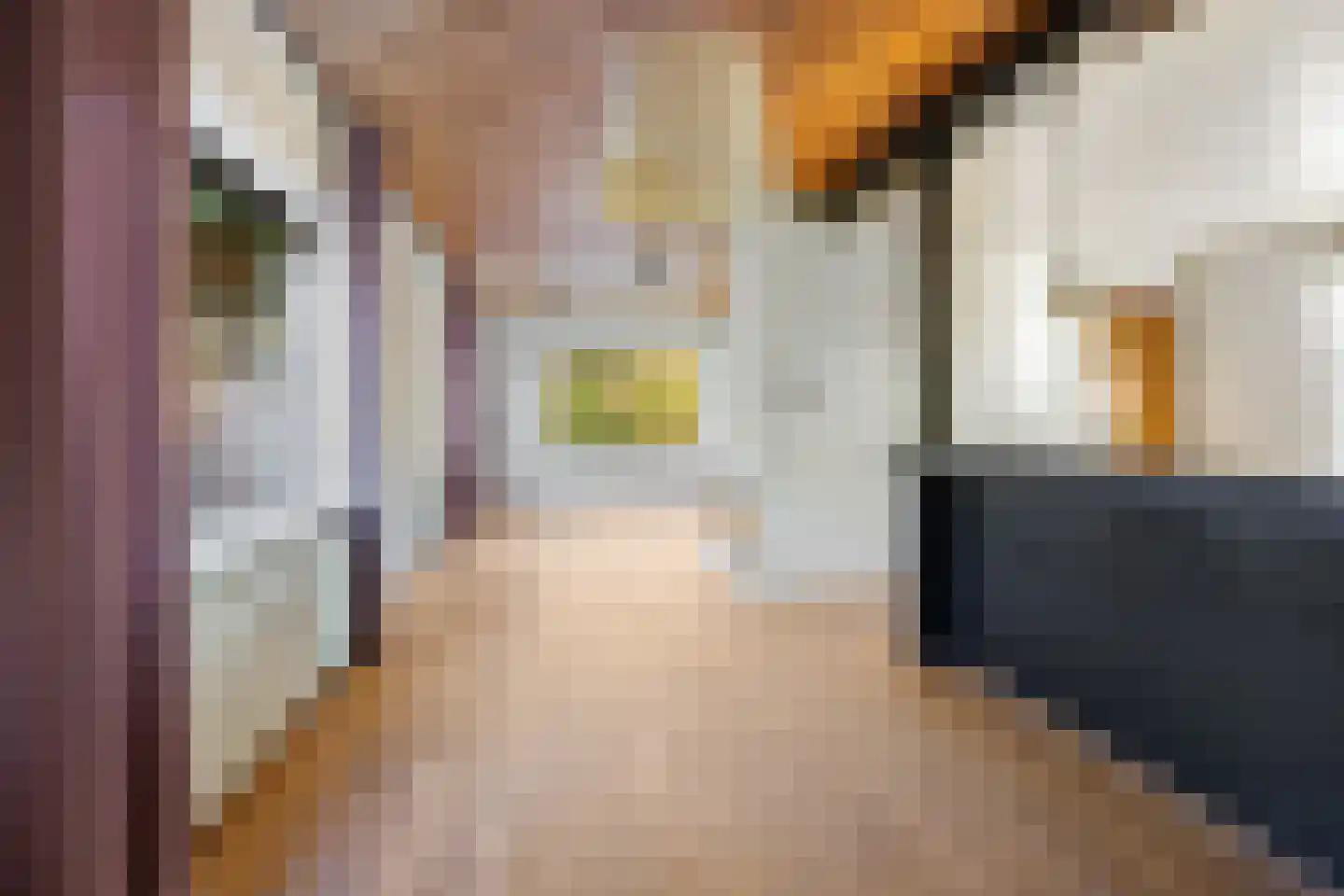 Munnikhofsestraat 31 Deest thumbnail 9
