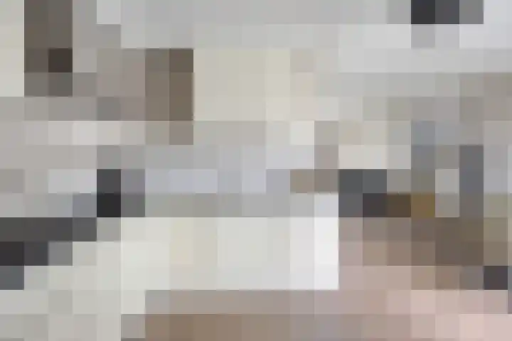 Munnikplaat 43 Urk thumbnail 13