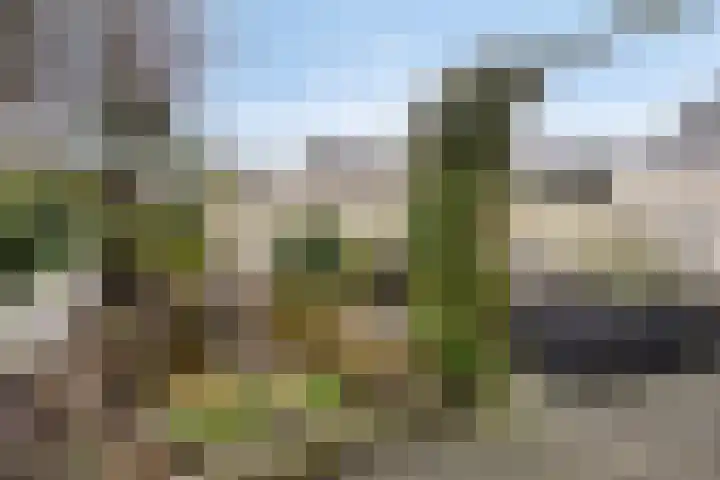 Munnikplaat 43 Urk thumbnail 33