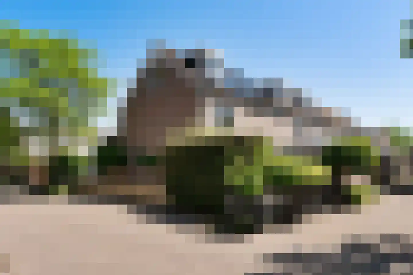 Munnikplaat 8 Monnickendam