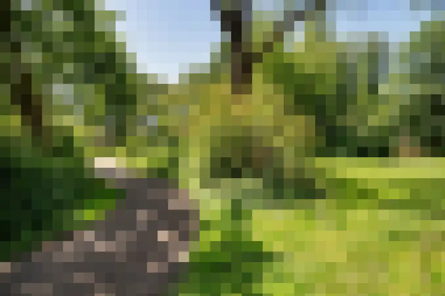 Munnikplaat 8 Monnickendam thumbnail 52