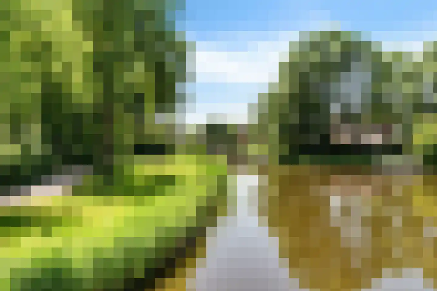 Munnikplaat 8 Monnickendam thumbnail 54