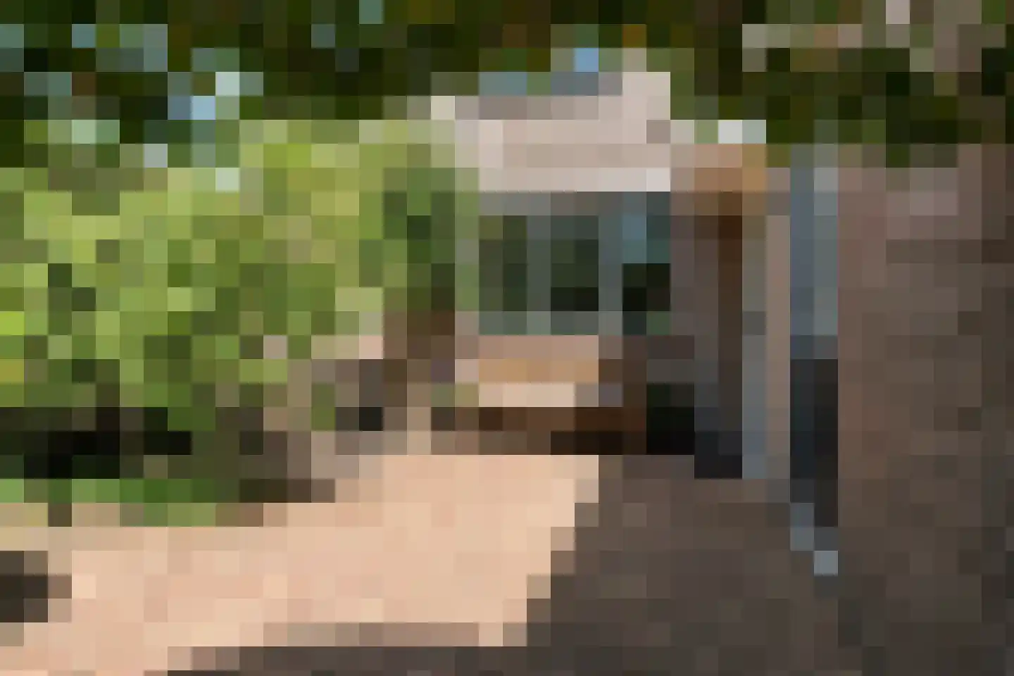 Munnikplaat 8 Monnickendam thumbnail 6