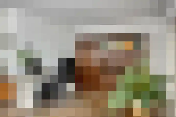 Munsel 197 Boxtel thumbnail 12