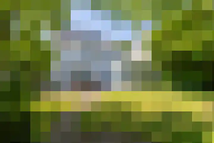 Munsel 197 Boxtel thumbnail 31