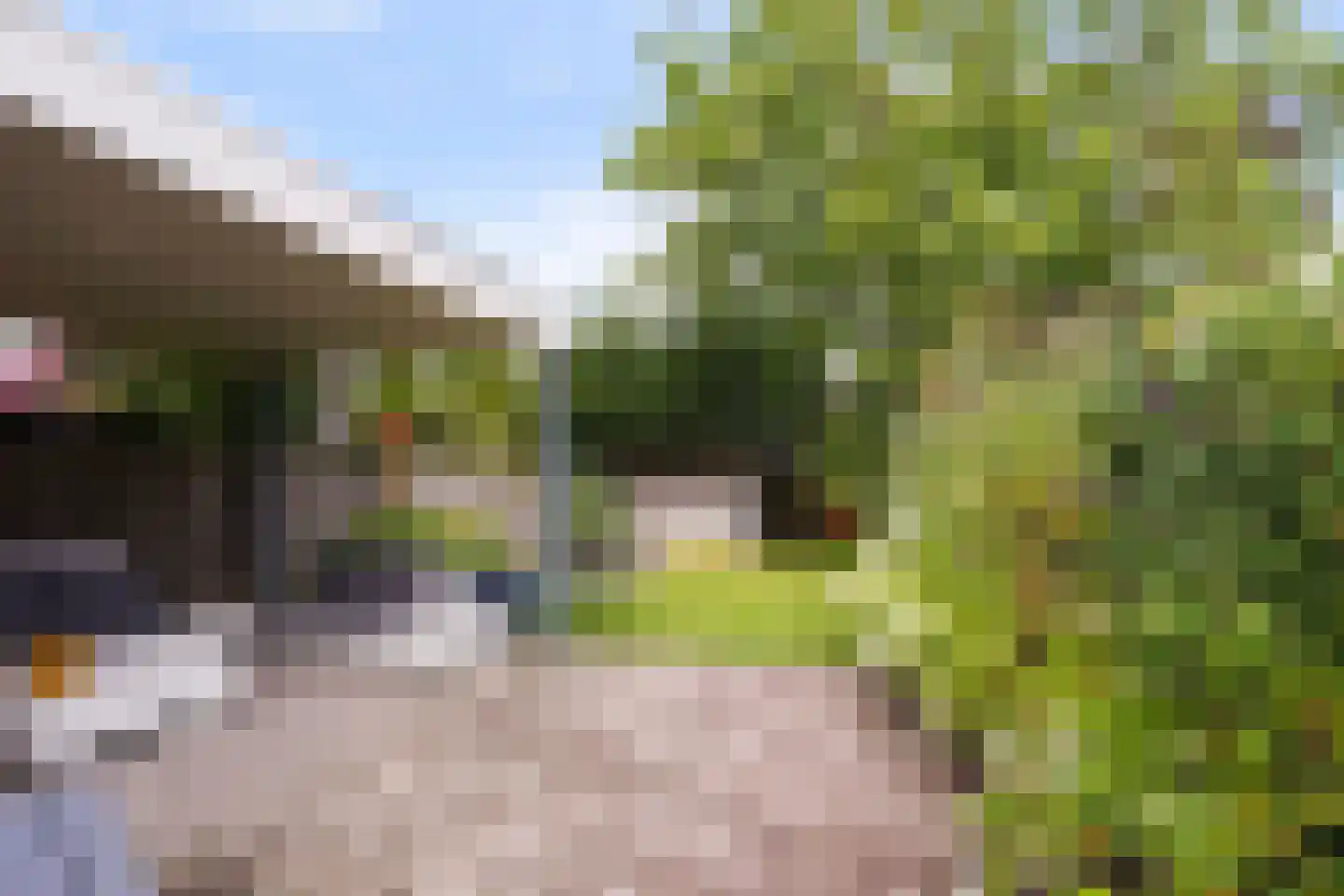 Munsel 53 Boxtel thumbnail 53